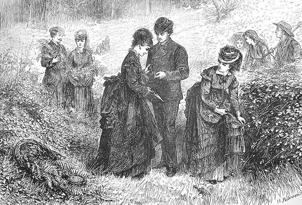 A black and white illustration featuring two women and a man, each wearing Victorian clothing. They are harvesting ferns from a woodland. Other figures are visible in the background. 