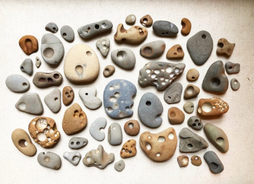 A group of small rocks are carefully spaced in a cluster. Each rock has one or more holes.