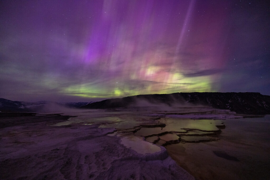 Purple and green northern lights illuminate a snowy landscape in Yellowstone Park. 