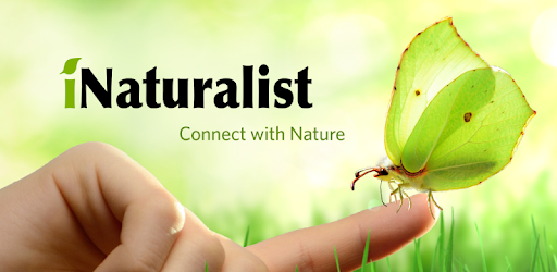 A butterfly sits on a person's finger. The text reads: iNaturalist Connect with Nature