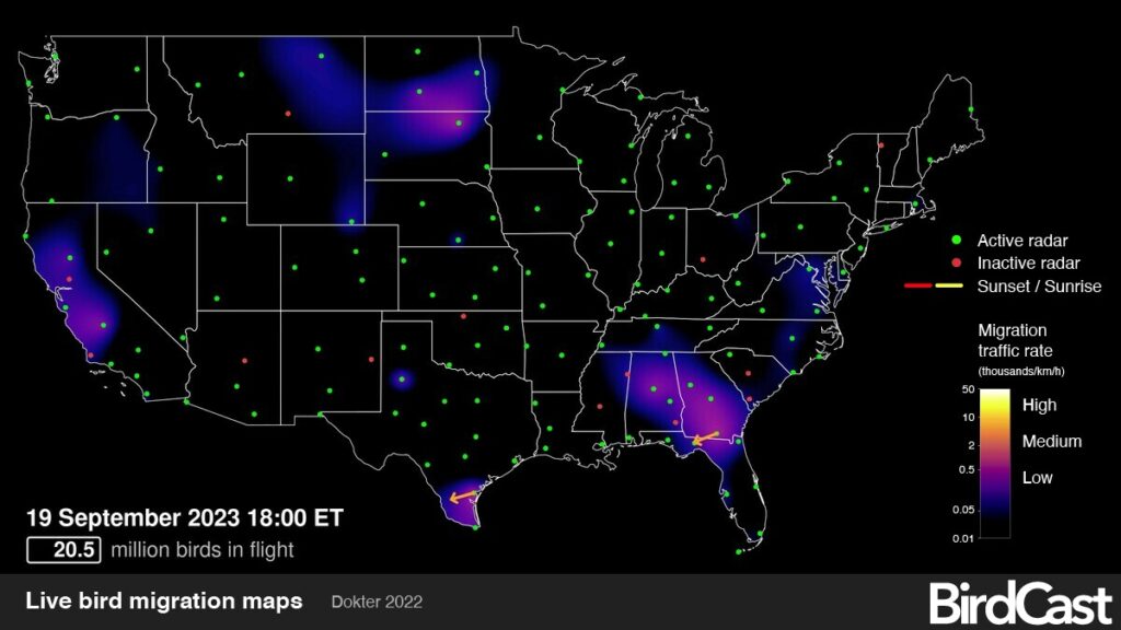 A map of the United States. Hot spots for migrating birds are indicated in purple and blue.
