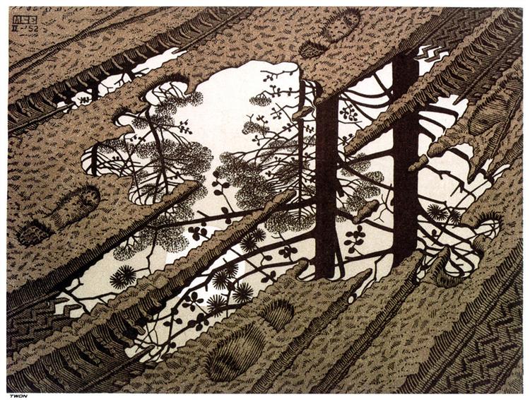 A drawing of a puddle in the middle of a path. Reflected in the water is an optical illusion of trees. 