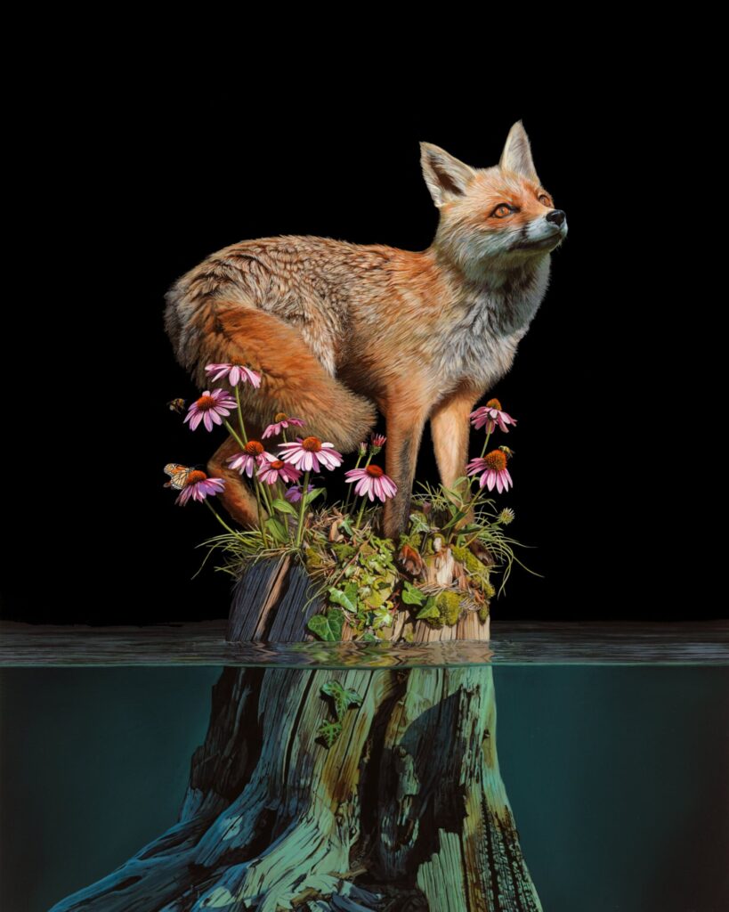 A painting of a red fox perching on top of a tree stump as flood waters rise around it. The top of the stump is covered with wildflowers. 